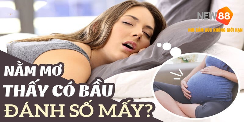 Mơ Thấy Có Bầu Đánh Con Gì? Giải Mã Giấc Mơ Mang Thai Chuẩn 1 Mơ Thấy Có Bầu Đánh Con Gì?